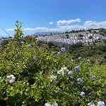 Golden Dreams Of Marbella